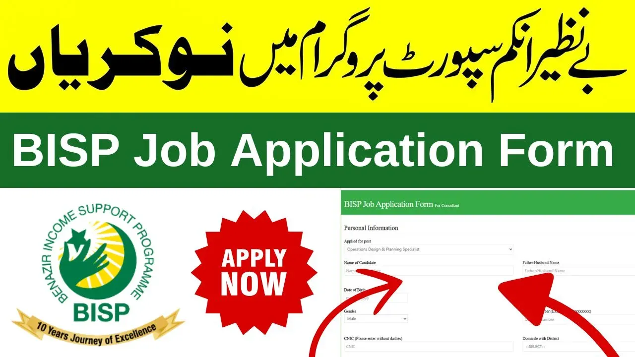 How to Fill the BISP Job Application Form 2025 (Step-by-Step Guide)